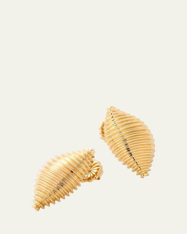 14K Yellow Gold Large Shell Earrings